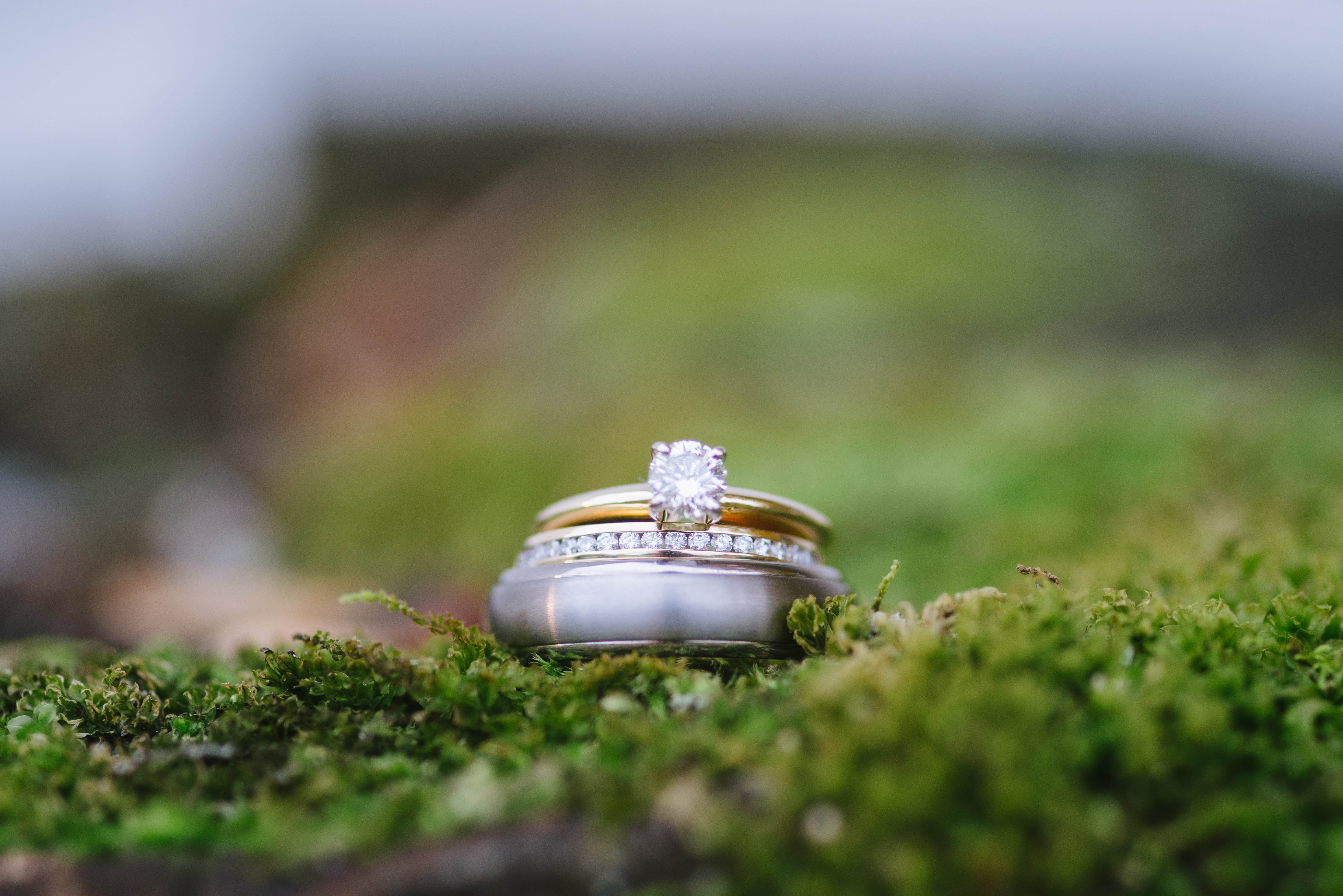 A photo of the Rings to Rule them All